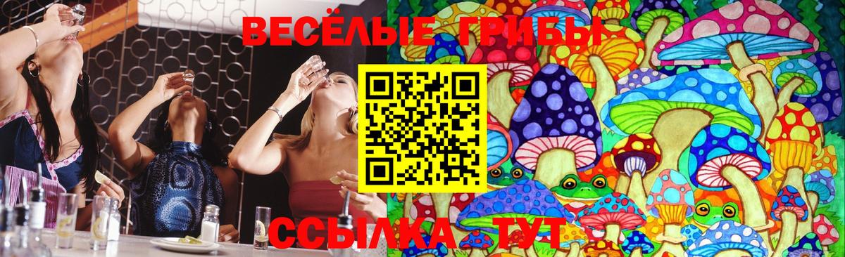 Псилоцибиновые грибы MAGIC MUSHROOMS  Вход с VPN  Зеленокумск 